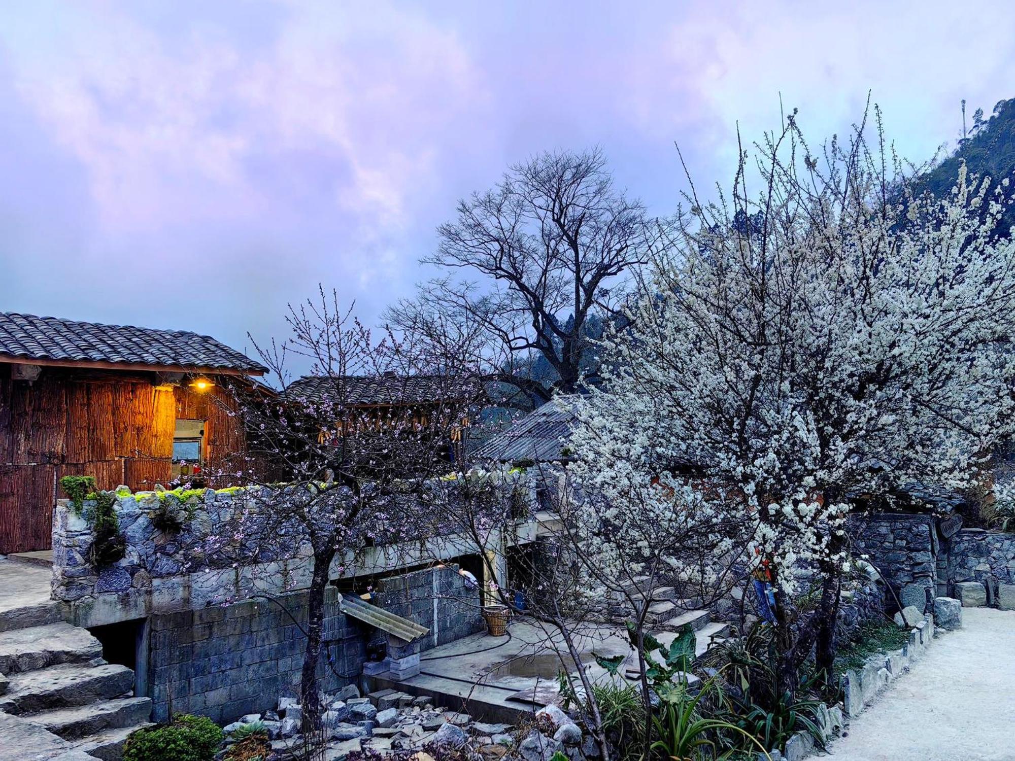 Nhà Cổ Lao Xa Homestay Hmong Dong Van  Exterior foto